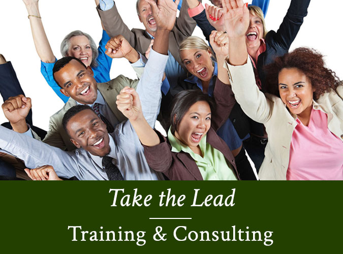 home-boxes2-take-the-lead-training-consulting